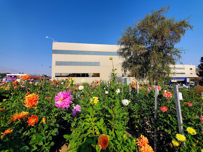 Confluence Health | Mares Campus main image